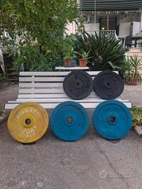 Dischi olimpionici ghisa PIGNATTI sport 75kg