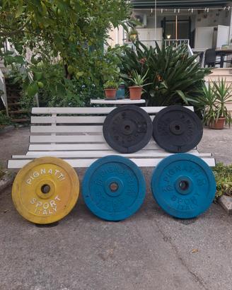Dischi olimpionici ghisa PIGNATTI sport 75kg