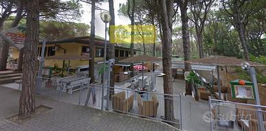 Attività / Licenza di 250 m² con più di 5 locali a