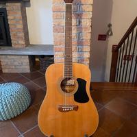 Chitarra acustica Olympia by Tacoma