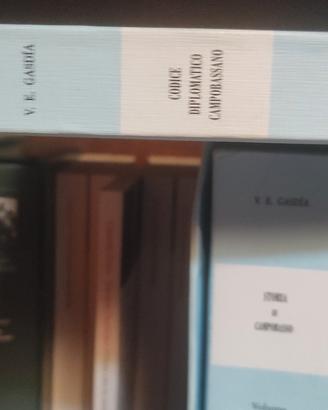 storia di campobasso
