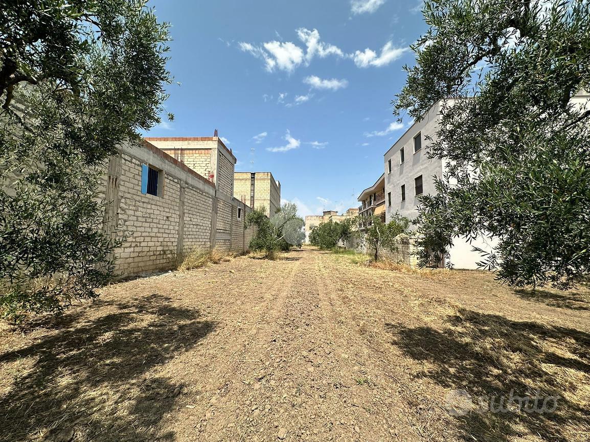 TERRENO A CERIGNOLA - Vista 2
