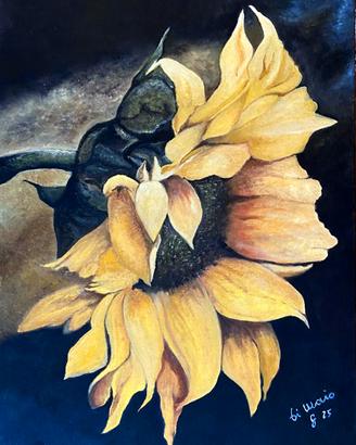 Girasole