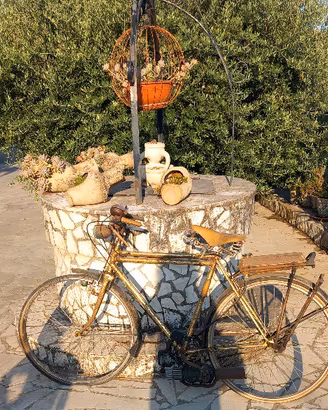 Bicicletta Mosquito Garelli