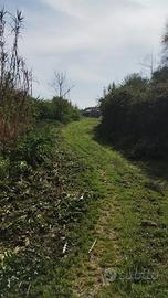 Terreno agricolo marco simone