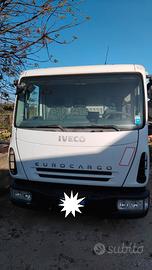 Eurocargo isotermico