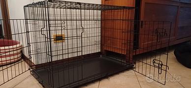 Kennel