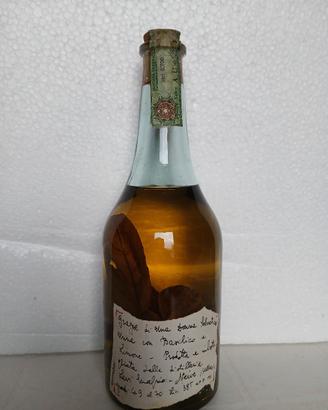 Grappa LEVI 1995