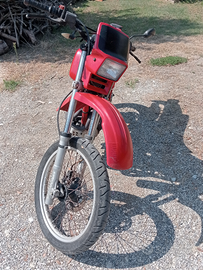 Honda XL600r