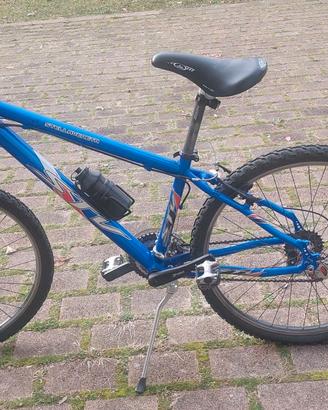 Bicicletta MTB Stella Veneta
