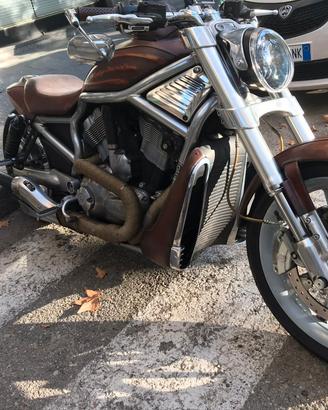 harley davidson V-Rod 