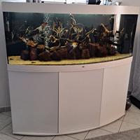Acquario Juwel 450 Litri Vision 