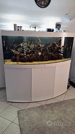 Acquario Juwel 450 Litri Vision 