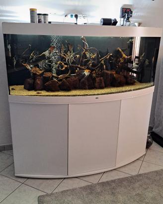 Acquario Juwel 450 Litri Vision 