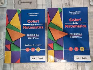 Colori della matematica blu geometria + recupero 