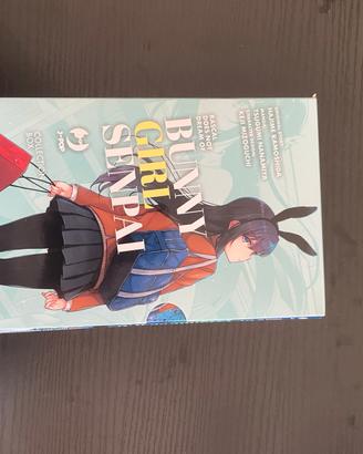 Bunny Girl Senpai + Petite Devil Kohai Box