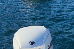 Evinrude e-teac 300 cv