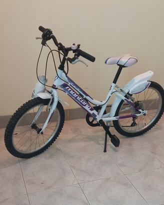 Mountain Bike Montana - Ruota 20" 