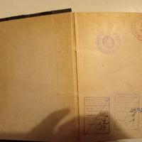 La guerra delle idee, Borgese, Treves, 1916