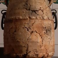 Orcio