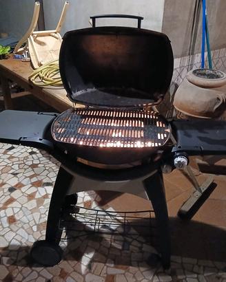 Weber q3200
