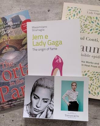 bundle set 3 libri di lady gaga varie 