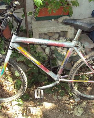 bici mountai bike mtb sovrana