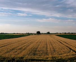 Terreno agricolo 3ettari