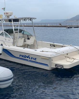 proline 23 walk around