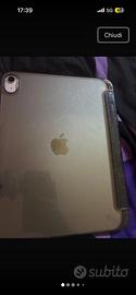 Ipad Apple