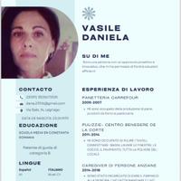 Lavoro a ore come pulizie provincia di Rovig