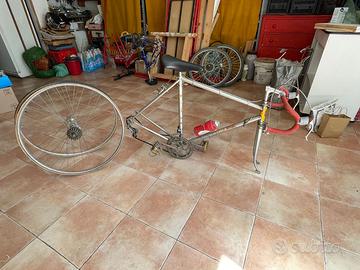 Bici da corsa vintage per Eroica - Aquila Touriste