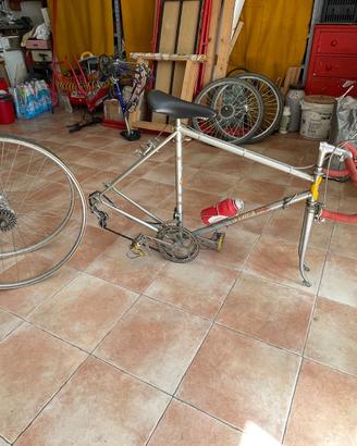 Bici da corsa vintage per Eroica - Aquila Touriste