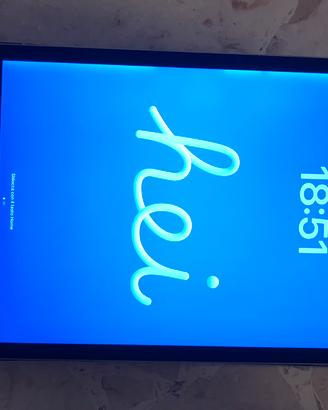 Apple Ipad Pro 2^ gen. 12,9” 512 GB wifi + sim