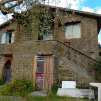 Uliveto con casale