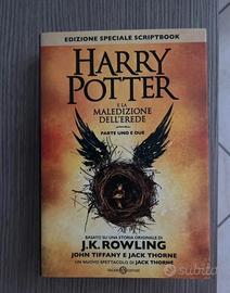 Libro Harry Potter