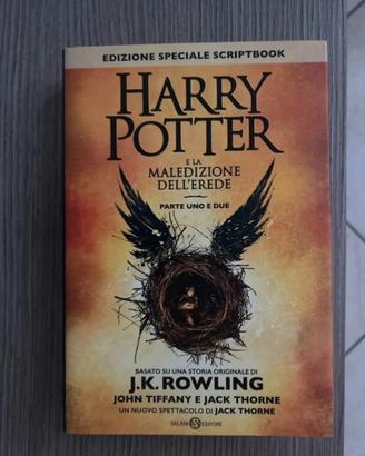 Libro Harry Potter