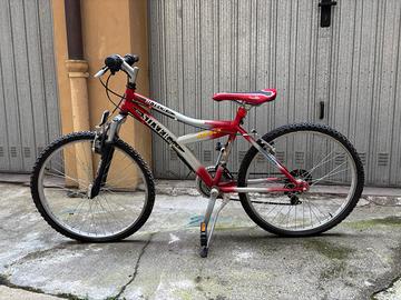 Mountain Bike Silver Star 24”