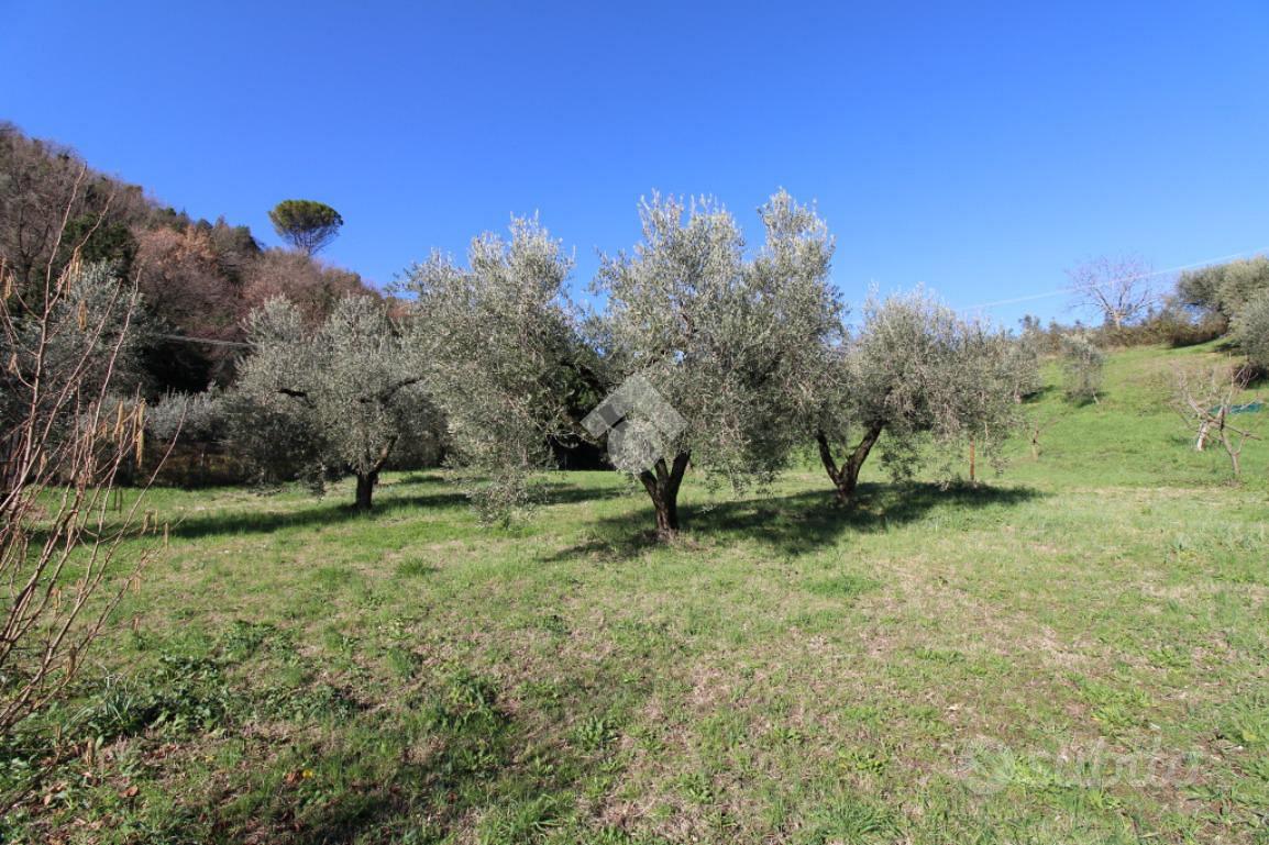 TER. AGRICOLO A MONTOPOLI DI SABINA - Altro