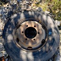 Ruota Camion completa