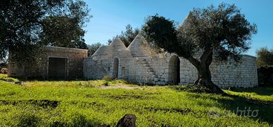 Villa con Trulli con Piscina Locorotondo (BA)