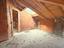 Immagine 16
