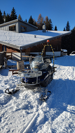 Motoslitta Yamaha Viking