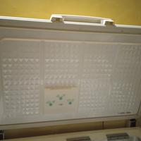 congelatore a pozzetto 