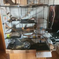 gabbia grande per animaletti domestici 