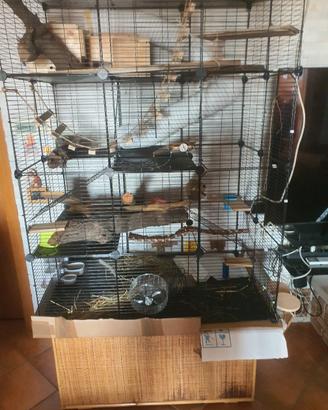 gabbia grande per animaletti domestici 