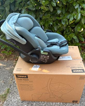 Thule maple