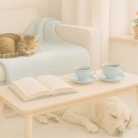 Badante, assistenza leggera e cura animali