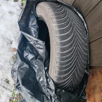 gomme da neve