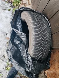 gomme da neve